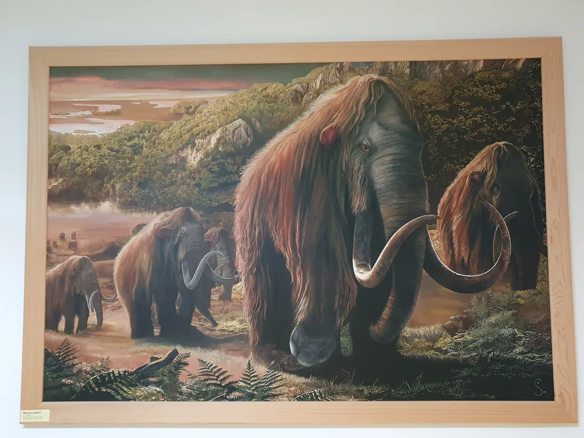 Impressionen vom Indian Land Museum in Gossau